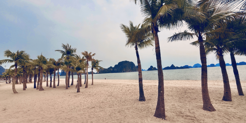 vietnam-medical-placement-in-ha-long-bay-27