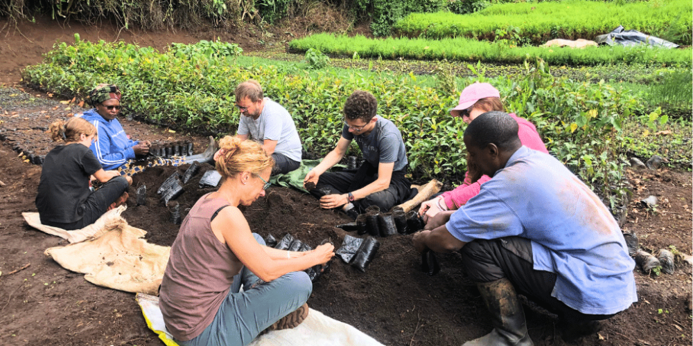 wildlife-conservation-giraffe-monitoring-16