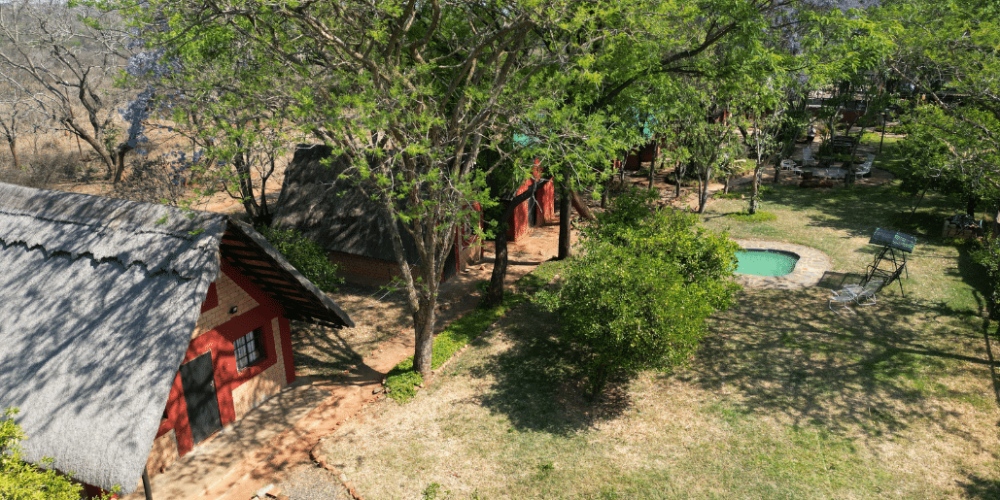 zimbabwe-african-wildlife-orphanage-2023-3